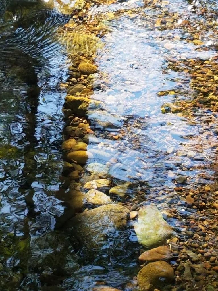 River photo of path in the rocks